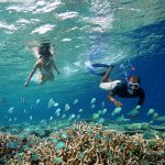 Anantara Kihavah Villas, Maldives - Scéances de snorkeling