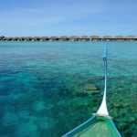 AYADA Maldives - Une vue du récif