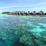 AYADA Maldives - Une vue du récif
