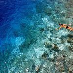 Dusit Thani Maldives - Scéance de snorkeling sur le récif