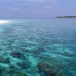 Milaidhoo Island Maldives - Une plage et le lagon