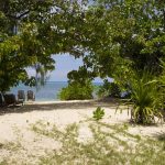 Denis Island Private Seychelles - Le jardin et l'accès à la plage d'un cottage