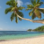 Kempinski Seychelles Resort - La plage