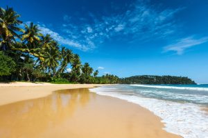 Circuit Sri Lanka - Une plage