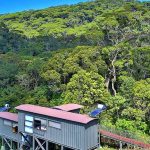 Sinharaja - Rainforest Eco Lodge - Chalets