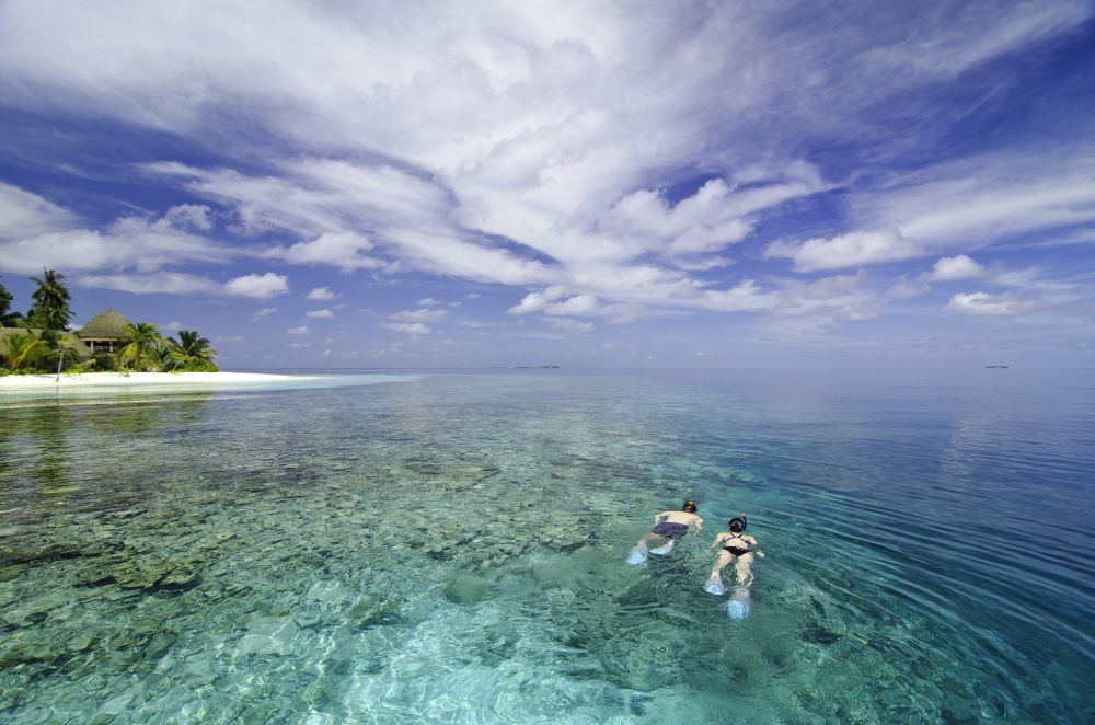 Kandolhu Maldives - Snorkeling
