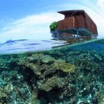 Le récif et une Park Water Villa du Park Hyatt Maldives Hadahaa