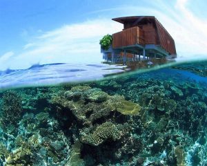 Le récif et une Park Water Villa du Park Hyatt Maldives Hadahaa