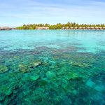 AYADA Maldives - Une vue du récif