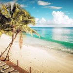 Carana Beach Seychelles - Une vue de la plage