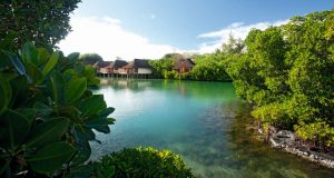 Constance Prince Maurice - Des Junior Suites on Stilts