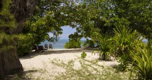 Denis Island Private Seychelles - Le jardin et l'accès à la plage d'un cottage