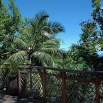 Domaine de l Orangeraie - La terrasse d'une Villa de Charme dans la végétation