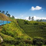 Circuit découverte du Sri Lanka - train