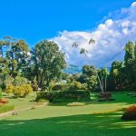 Circuit découverte du Sri Lanka - Jardin botanique de Peradeniya