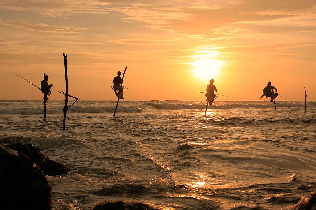 Circuit Merveilles du Sri Lanka - Pêcheurs sur échasses dans la région de Galle