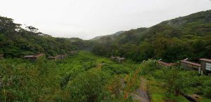 Sinharaja - Rainforest Eco Lodge