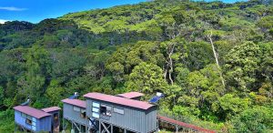 Sinharaja - Rainforest Eco Lodge - Chalets