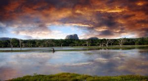 Parc National de Yala - Un panorama